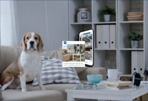 Boom de mascotas en España: las mascotas superan a los niños y transforman los hogares españoles y su seguridad